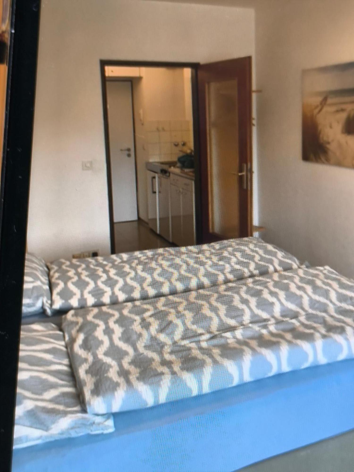 巴特莱辛哈尔Panoramahaus 6140公寓 外观 照片